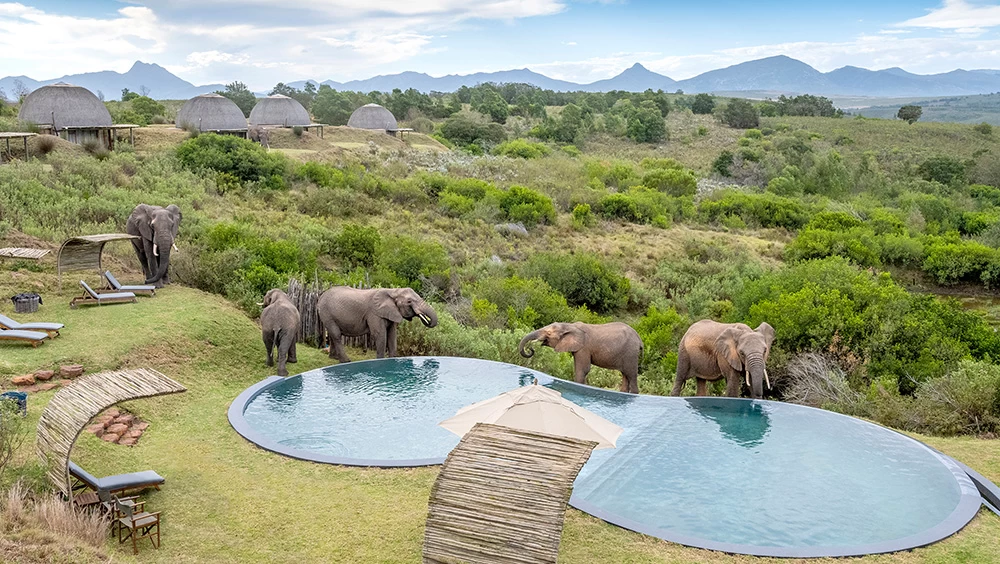 Why South Africa Should Be Your Honeymoon Destination