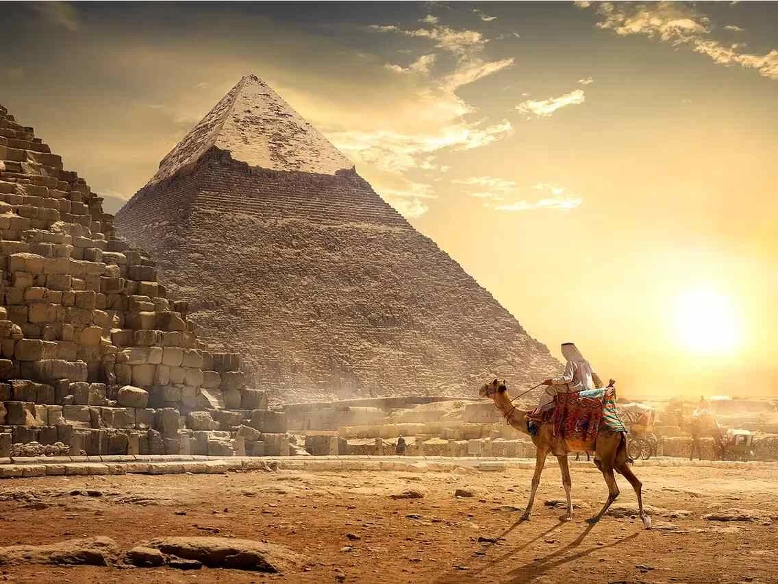 Pharaohs & Pyramids